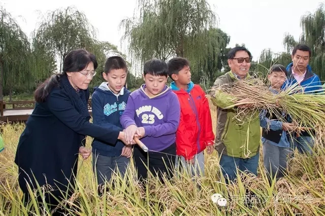 劳模黄礼在示范