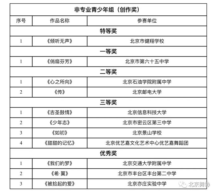 05 非专业青少年组01